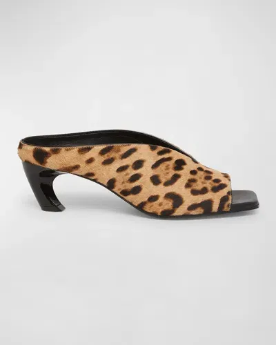 Alexander Mcqueen Armadillo Leopard Comma-heel Mule Sandals In 2044 Leopard/black