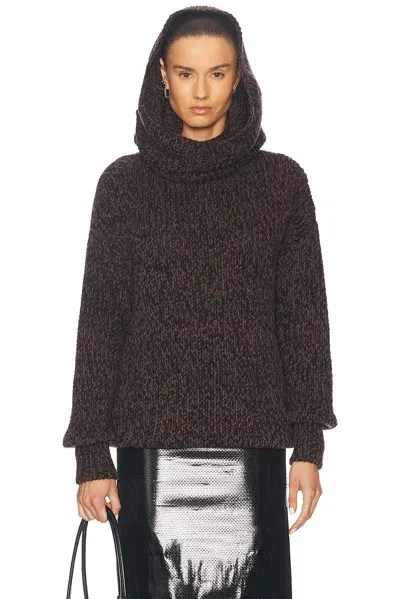 Alexander Mcqueen Hooded Sweater In Brown & Tan