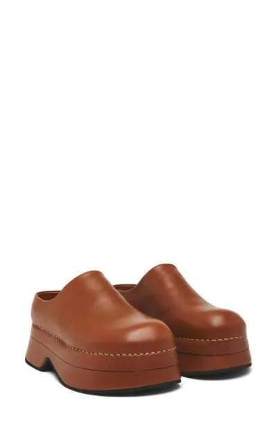 Alexander Mcqueen Stone Clog In Scarf/colored Sole Cuoio