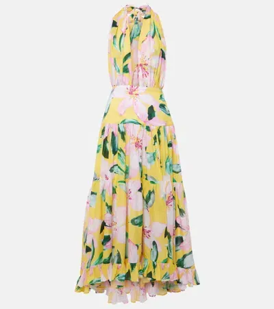 Alexandra Miro Marie Rose Floral Cotton Maxi Dress In Multicoloured