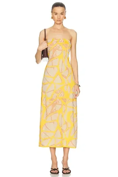 Alexis Pollie Dress In Sun