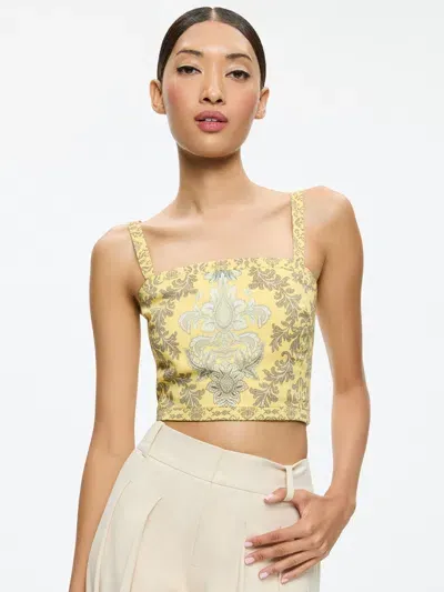 Alice And Olivia Sasha Lace Up Back Cropped Top In Vanity Lemon Meringue/multi