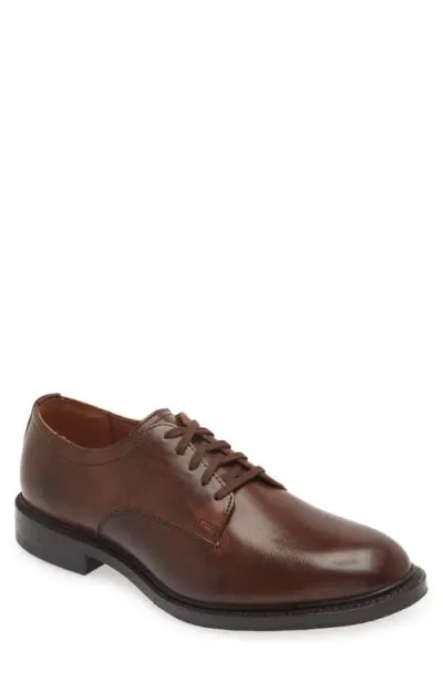 Allen Edmonds Trevor Derby In Brown