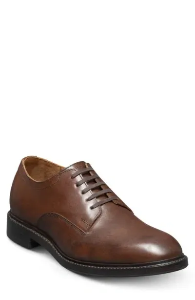 Allen Edmonds Trevor Derby In Light Brown