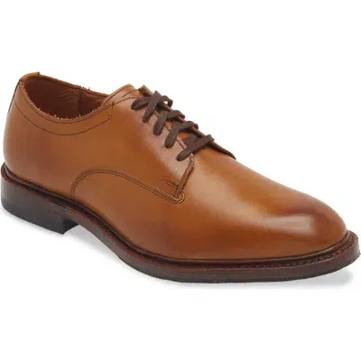 Allen Edmonds Trevor Derby In Walnut