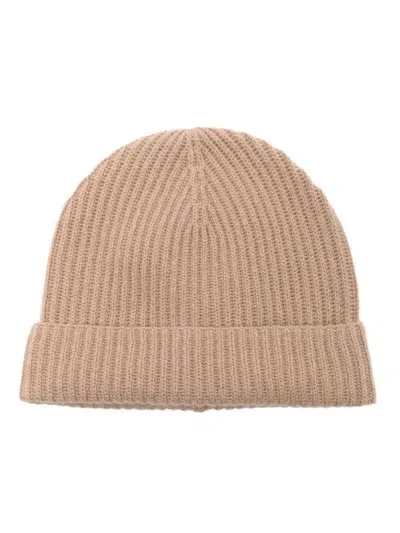 Allude Ribbed Beanie In Brown