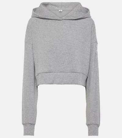 Alo Yoga Muse Ribbed-knit Cropped Hoodie In Grey