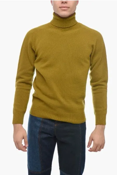 Altea Turtleneck Cashmere Blend Sweater In Green