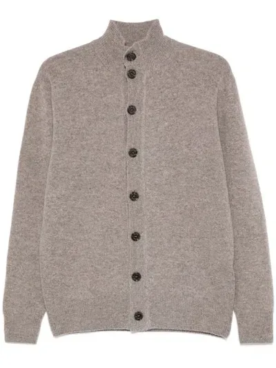 Altea Virgin Wool Cardigan In Braun