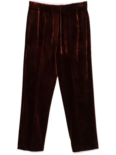 Alysi Velvet Trousers In Brown