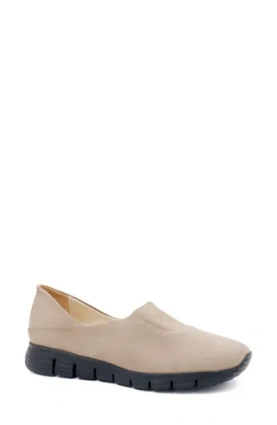 Amalfi By Rangoni Jerry Slip-on Sneaker In Oat Pasha