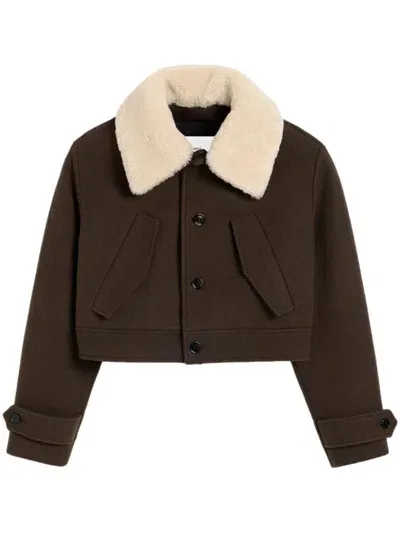 Ami Alexandre Mattiussi Shearling Collar Jacket In Dark Coffee