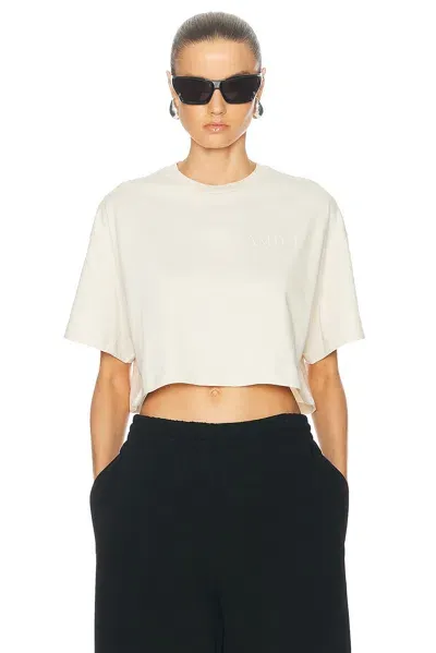 Amiri Embroidered Cropped Tee In Alabaster