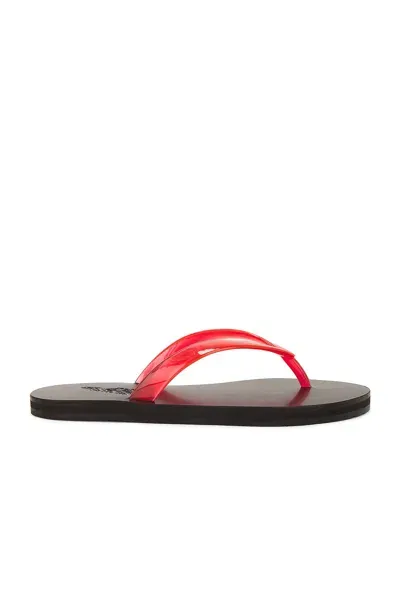 Ancient Greek Sandals Saionara Jelly Flip Flop In Clear Red