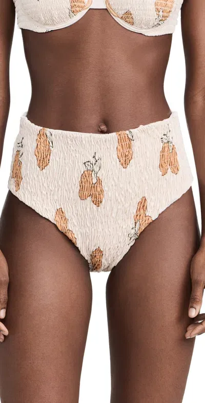 Ancora Le Citron Scrunchie Bikini Bottoms Le Citron