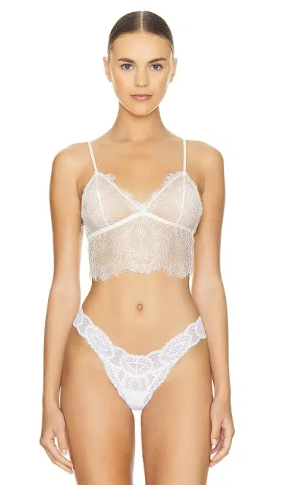 Anine Bing Lace Bralette In Ivory