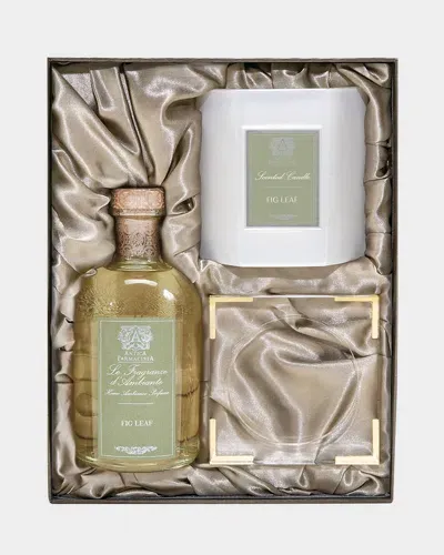 Antica Farmacista Fig Leaf Acrylic Home Ambiance Gift Set In Multi