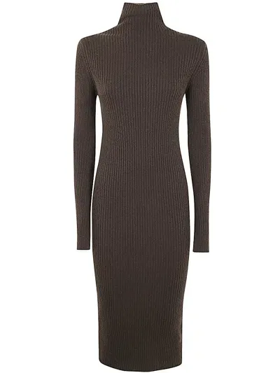 Antonelli Sabina Long Sleeves Turtle Neck Dress In Brown