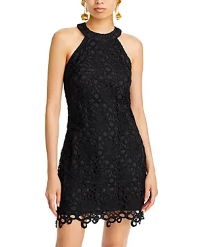 Aqua Lace Halter Dress - Exclusive In Black