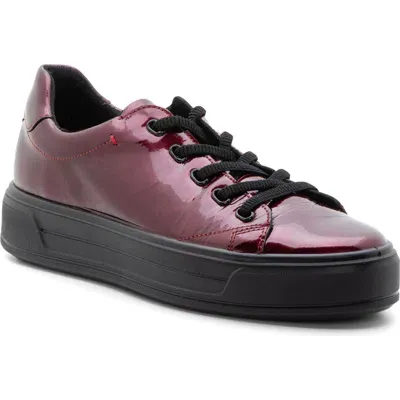 Ara Crystal Platform Sneaker In Chilli