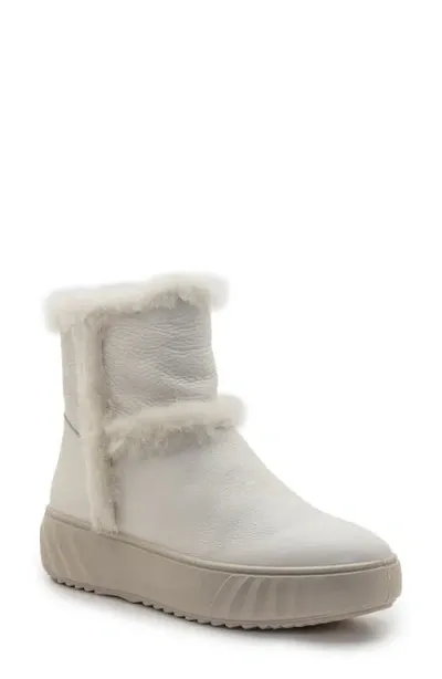 Ara Marquette Genuine Shearling Trim Boot In Cream