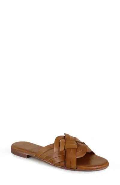 Artisan Crafted By Zigi Arutzy Slide Sandal In Brown