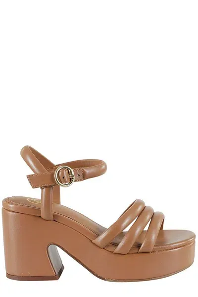 Ash Buckle Fastening Heeled Sandals In Brown