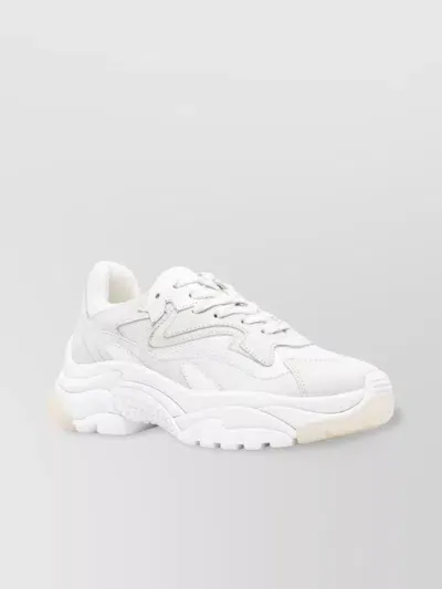 Ash Chunky Sole Mesh Round Toe Sneakers In White