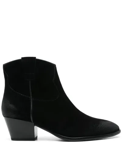 Ash Fame01 Ankle Boots In Black