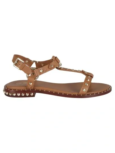 Ash Patsy Studded Slingback Sandal In Brown