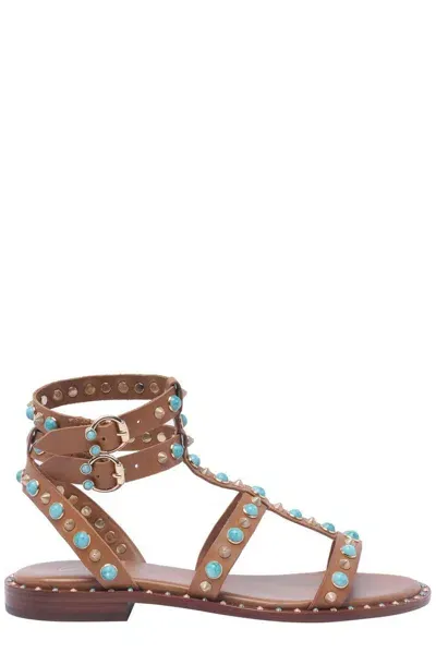 Ash Passion Stud Embellished Sandals In Brown