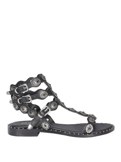 Ash Phoenix Leather Sandals In Black