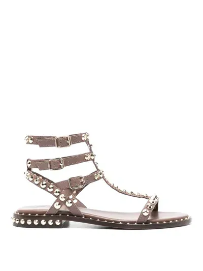 Ash Sandals Brown