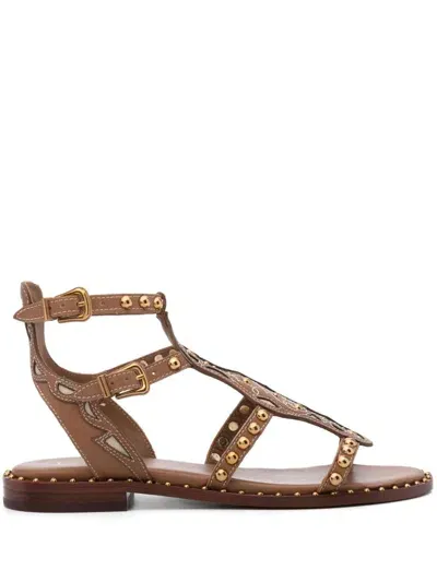 Ash Plaza Studded Leather Sandals In Brown