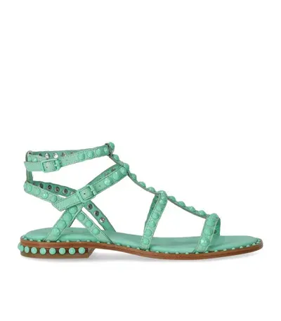 Ash Precious Bis Mint Flat Sandal In Green