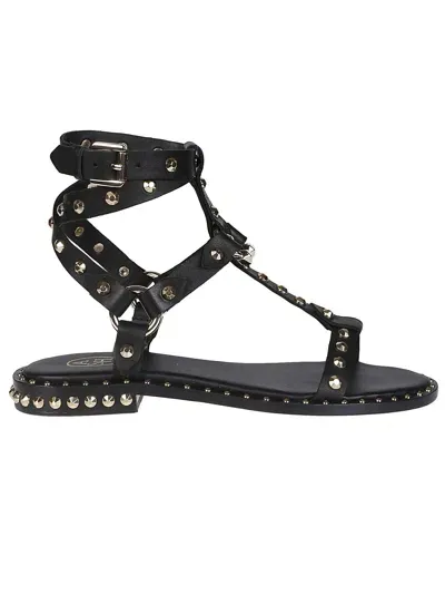 Ash Pulp Sandals In Black