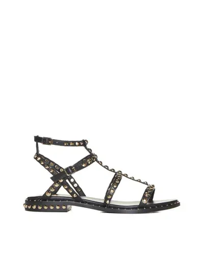 Ash Sandals In Black