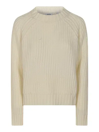 Aspesi Stripe Patterned Knit Sweater In Neutral