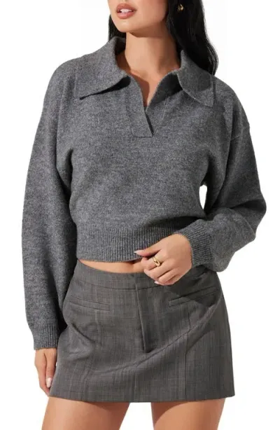 Astr The Label Crop Polo Sweater In Heather Grey