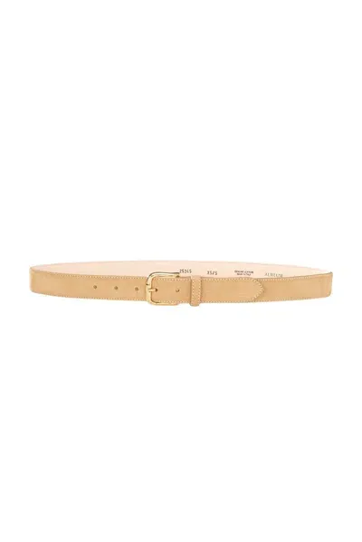 Aureum Suede Buckle Belt In Sand & Gold