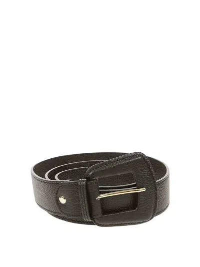 Avenue67 Belt In Black