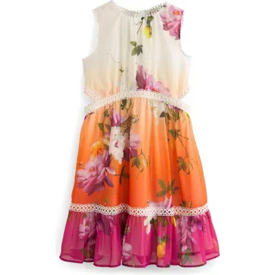 Baker By Ted Baker Kids' Floral Ombré Cutout Dress In Pink