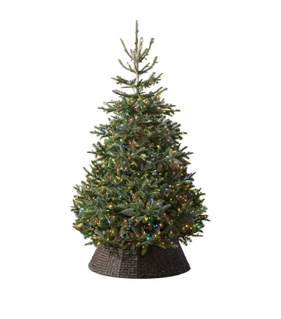 Balsam Hill Nordmann Fir Led Colour + Clear Christmas Tree In Green