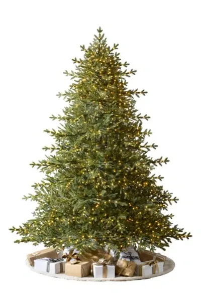 Balsam Hill Sugarland Spruce Tree In Led Clear Lights