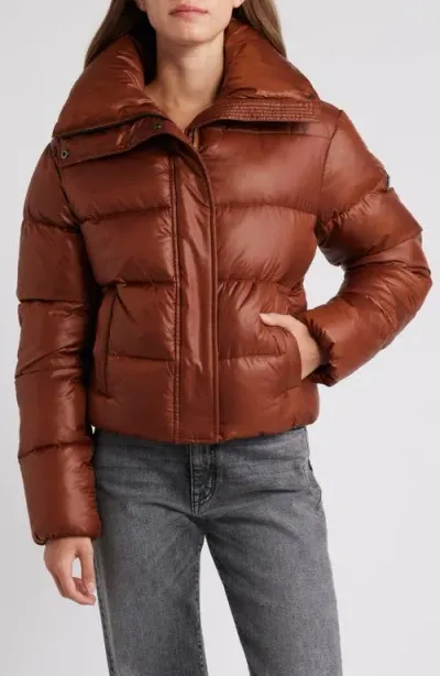 Bcbg Water Resistant Crop Puffer Jacket In Chestnut