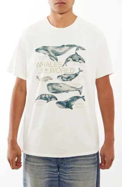 Bdg Urban Outfitters Whales Of The World Graphic T-shirt In Off White