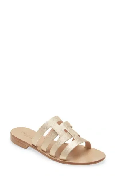 Bells & Becks Lucia Slide Sandal In Gold