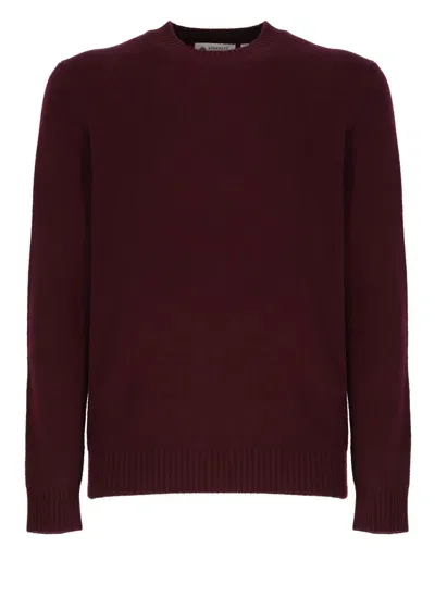 Biarritz 1961 Sweaters Bordeaux In Red