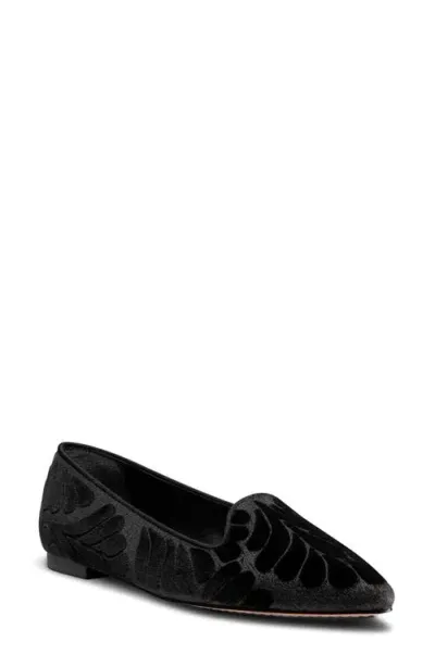 Birdies Sparrow Embroidered Pointed Toe Flat In Black Velvet