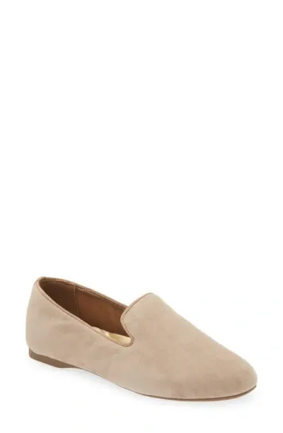 Birdies Starling Flat In Latte Suede